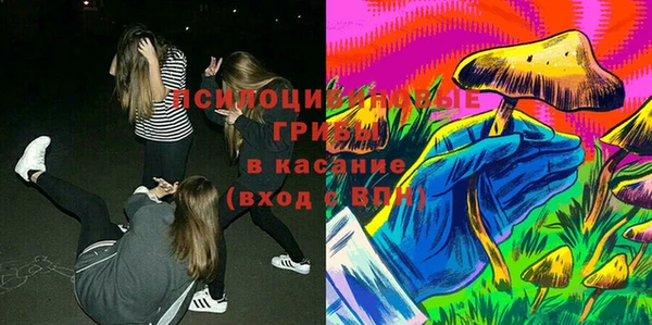 крисы Алзамай