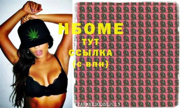 хмурый Алексин