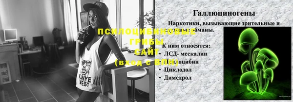 хмурый Алексин