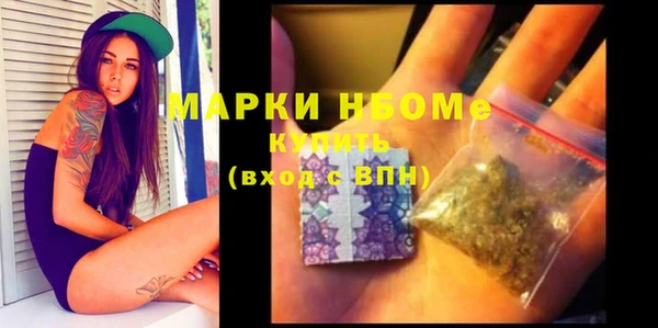 хмурый Алексин