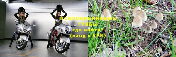 крисы Алзамай