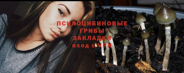 спиды Абаза
