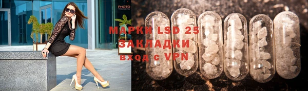 прущие грибы Абинск