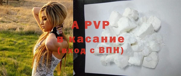 спиды Абаза